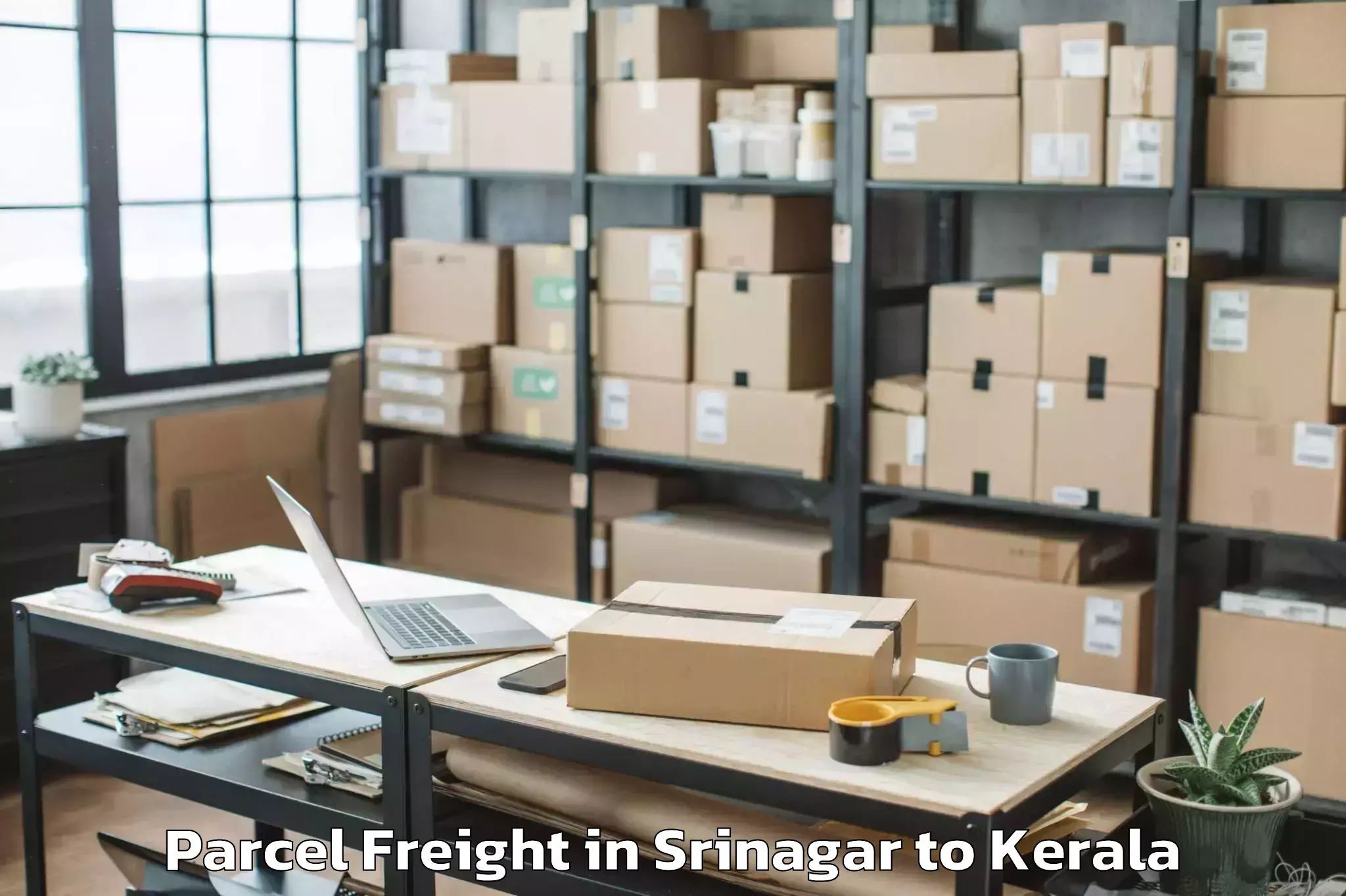 Professional Srinagar to Punalur Parcel Freight